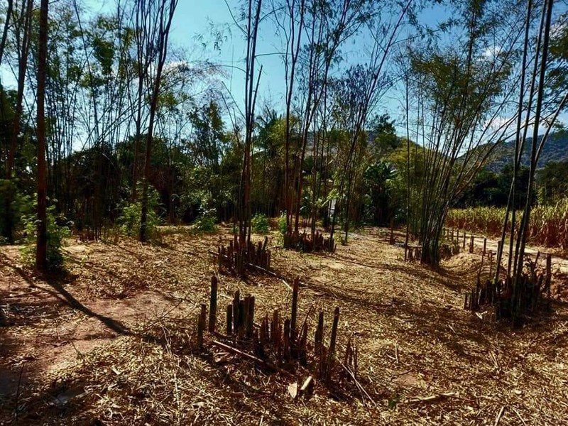 ขายที่ดิน-ตำบลหนองพลับ-พร้อมโอน