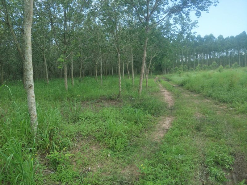 ขายที่ดินทำเลดี-อำเภอเมือง-ปราจีนบุรี