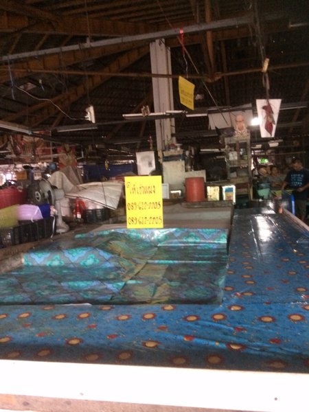 เซ้ง-หรือ-ให้เช่า-พื้นที่แผงขายของ-ในตลาดสด-การเคหะทุ่งสองห้อง-กรุงเทพฯ