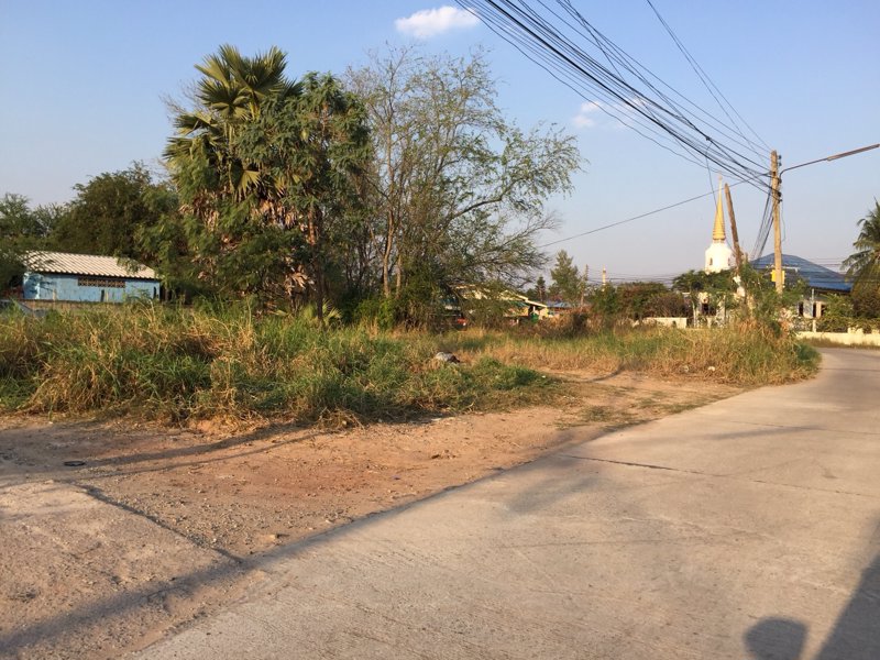 ขายที่ดิน-ทำเลดี-ที่หัวมุม-ถนนเลียบคลองชลประทานสุระนารี-2-อำเภอเมืองนครราชสีมา