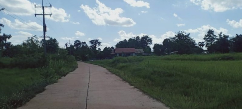 ขายที่ดิน200-ตรว-ราคา150000บาท-ผ่อนวัน100บาท-