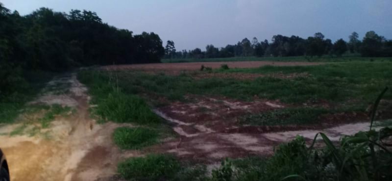 ขายที่ดินไร่ละ-69000บาท-โฉนด-ติดทางแดง