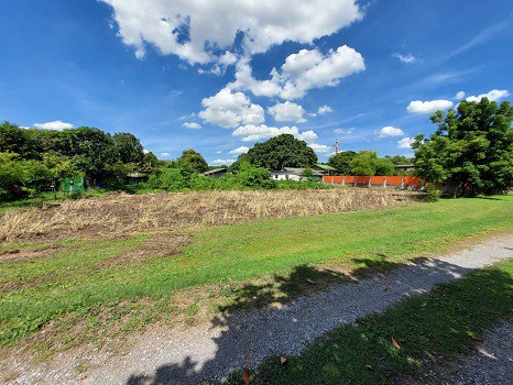 ขาย-ที่ดิน-ซอย-เพชรเกษม-63-วัดม่วง-ขนาด-525-ตรว-ใกล้-mrt-หลักสอง