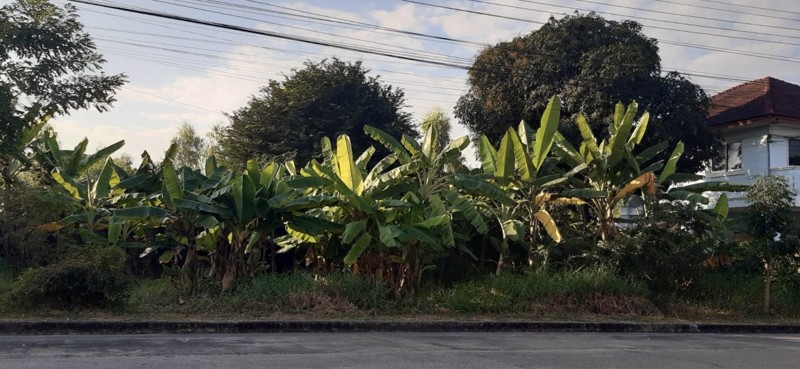 ขายที่ดินเปล่า-หมู่บ้านปัญญาเลคโฮม-98-ตารางวา-เพียง-200-เมตรจากถนิมิตใหม่