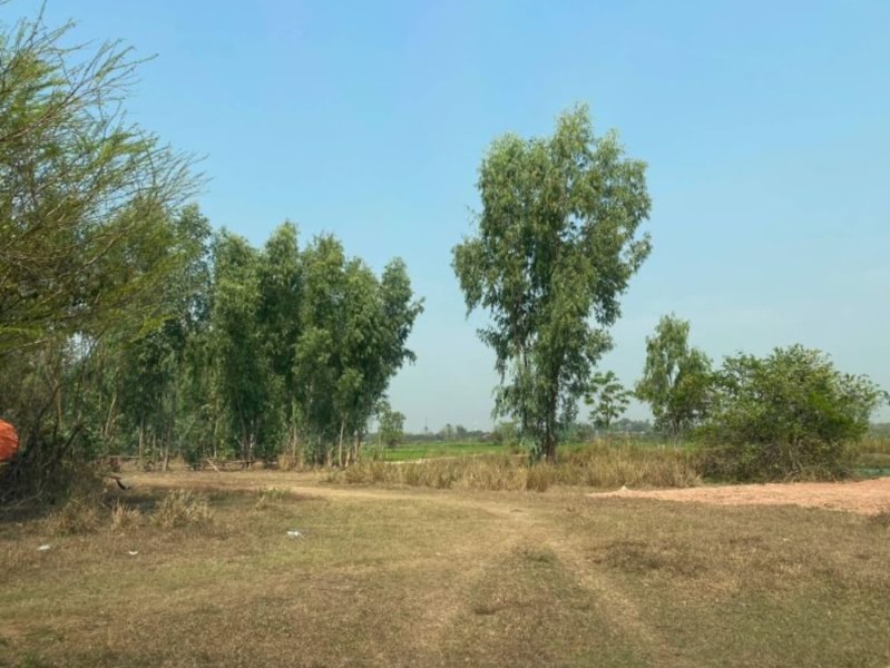 ขายที่ดินรอบๆบึงหนองคาย-เนื้อที่-127ตรว