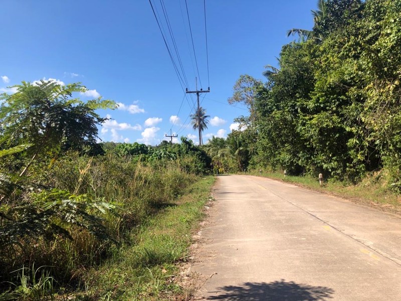 ขายที่ดินบนเกาะลันตาใหญ่-หลังสำนักงานที่ดิน-ตศาลาด่าน-ใกล้หาดพระแอะ