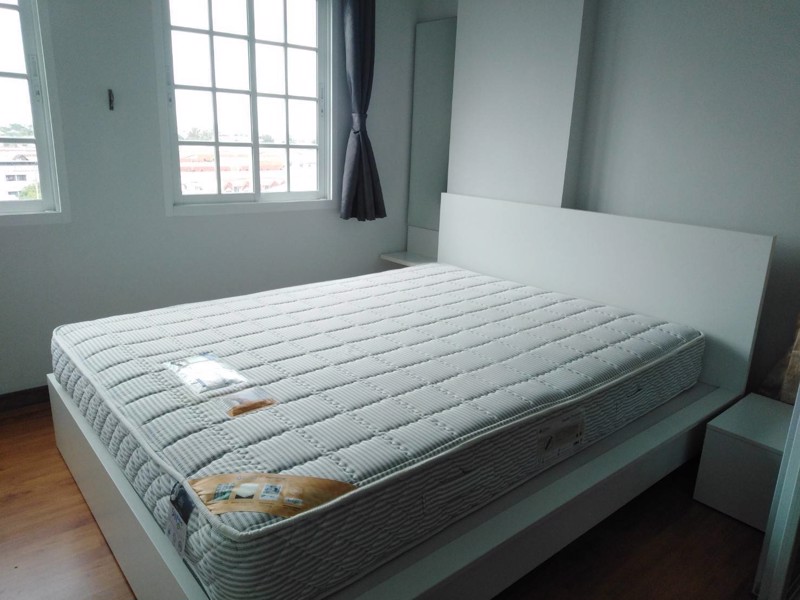 ให้เช่าคอนโดทิวลิป-5500-มีให้เลือกหลายห้อง