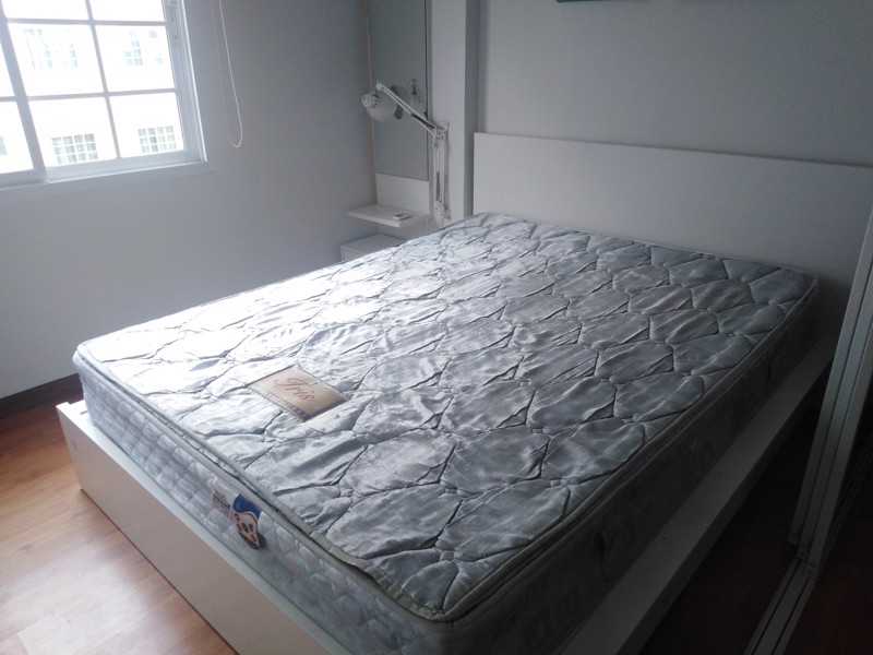 ให้เช่าคอนโดทิวลิป-5500-มีให้เลือกหลายห้อง