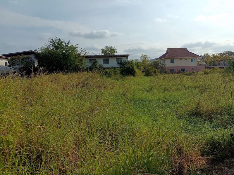 ขายที่ดินสวนมะพร้าว-389-ตารางวา-นครราชสีมา