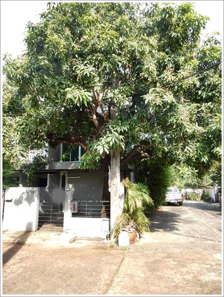 ด่วน-ให้เช่า-ทาวน์โฮม-3-ชั้น-ย่านพงษ์เพชร-บ้านสวย-สไตล์ลอฟต์-เดินทางสะดวก-ใกล้ถนนใหญ่-มีแอร์-พร้อมอย