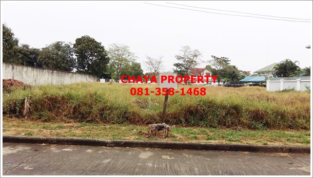 ด่วน-ขายถูก-ที่ดินถมแล้ว-มกฤษดานคร-18-เหมาะสำหรับปลูกสร้างบ้านพักอาศัย-กว้างขวาง-เดินทางสะดวก