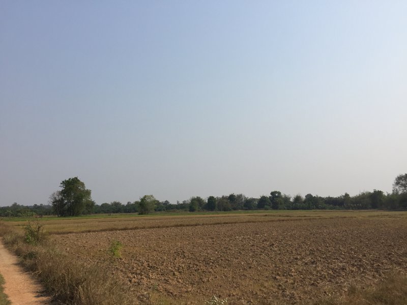 ที่ดินเปล่า-245-ไร่-ตท่าบุญมี-เกาะจันทร์-ชลบุรี