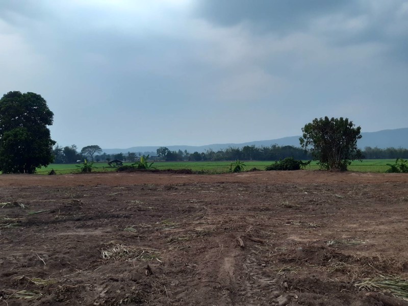 ขายด่วน-ที่โฉนด-ติดถนนทางหลวงชนบทสายบ้านใหม่เจริญมิตร-บ้านเจริญเมือง