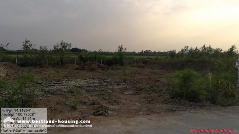 ที่ดินเปล่า-61-ตรว-ถบึงบอน51-ที่ดินเปล่าถมสวย