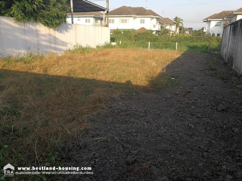 ขายที่ดินเปล่า-48-ตรว-หมู่บ้านคุ้มเกล้าเจริญสุข-ถรังสิต-นครนายก42-ธัญบุรีคลอง1-