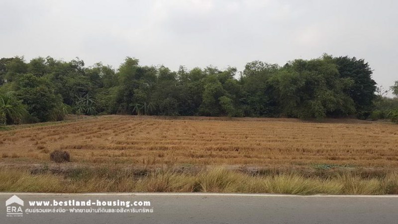 ขายที่ดินเปล่า-95-3-31-ไร่-ถศาลาแดง ที่ดินอยู่ในซอยวัดสว่างอารมณ์