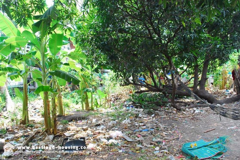 ขายที่ดินเปล่า-100-ตรว-ถลาดพร้าว101แยก29