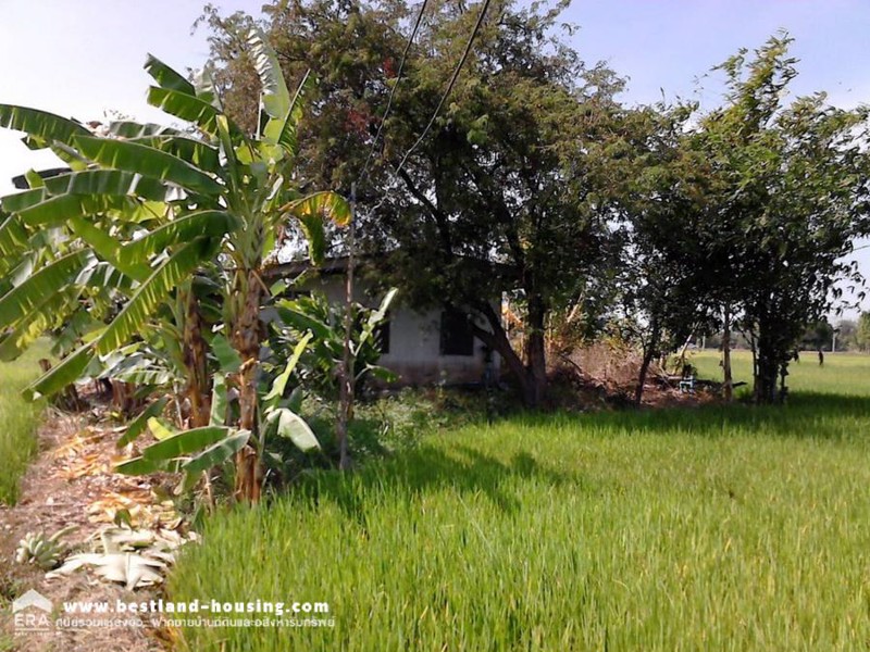 ขายที่ดินเปล่า-2-3-8-ไร่-เดินบาง-สุพรรณบุรี