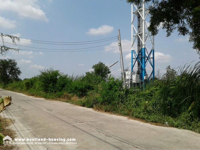 ขายที่ดินพร้อมผู้เช่า-ขนาด-50-ตรว-ซอยเลียบวารี35-เขตหนองจอก-เข้าซอยเพียง-600-ม