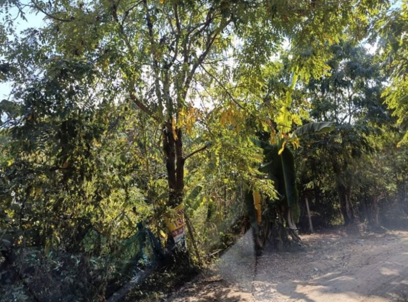 ขายที่ดินติดรั้วรพศูนย์มะเร็งอุดร-เนื้อที่-69ตรว