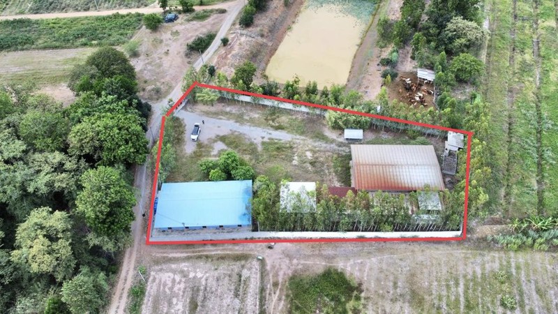 ขายด่วน-โกดัง-พร้อมสิ่งปลูกสร้าง-กาญจนบุรี