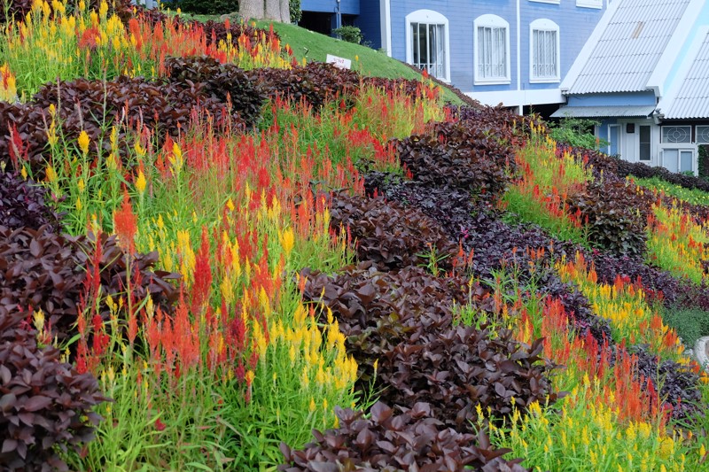ขายด่วนบ้านเดี่ยวระยองบนเขาแต่ใกล้ทะเลหาดแม่รำพึง
