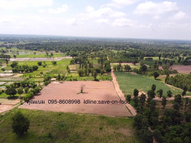 ขายที่ดิน-7-ไร่-3-งาน-36-ตารางวา-ราคาไร่ละ-320000-บาท