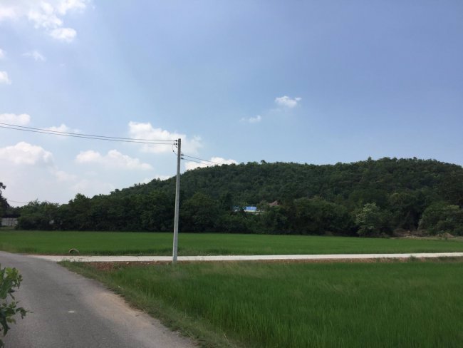 ขายที่7-ไร่-32วา-ใกล้วัดหนองหอย-สนามกอลฟ์รอยัล-อโพธาราม-จราชบุรี