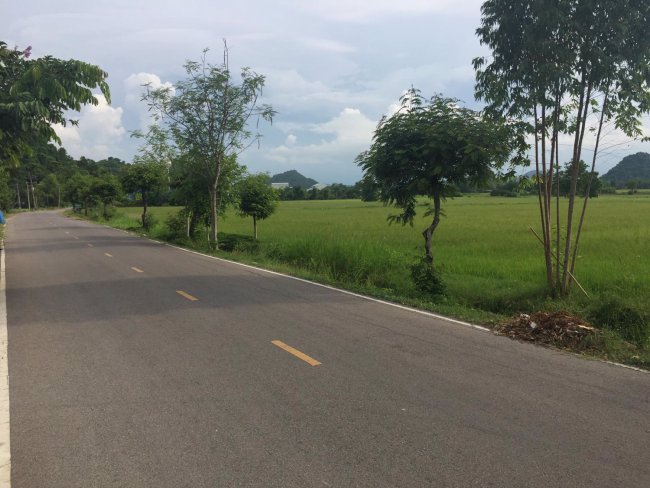 ขายที่ดิน-16ไร่-2งาน-24ตรว-หลังถ้ำค้างคาว-สถานที่ท่องเที่ยว-ติดถนน-2ด้าน-อโพธาราม-จราชบุรี