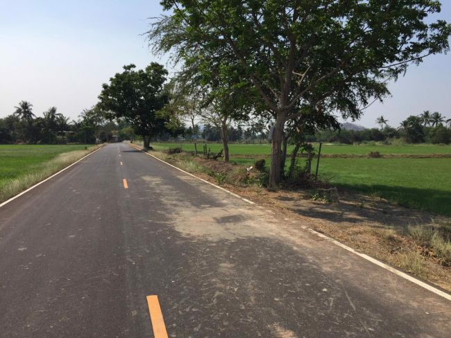 ขายที่นาสวยๆ-3ไร่-3-งาน-91ตรว-ตนางแก้ว-อโพธาราม-จราชบุรี