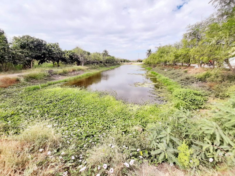 ให้เช่าที่ดิน-4-ไร่เศษ-ระยะยาว-ติดถนนคอนกรีต-อำเภอบางเสาธง-สมุทรปราการ-โทร-081-4349463