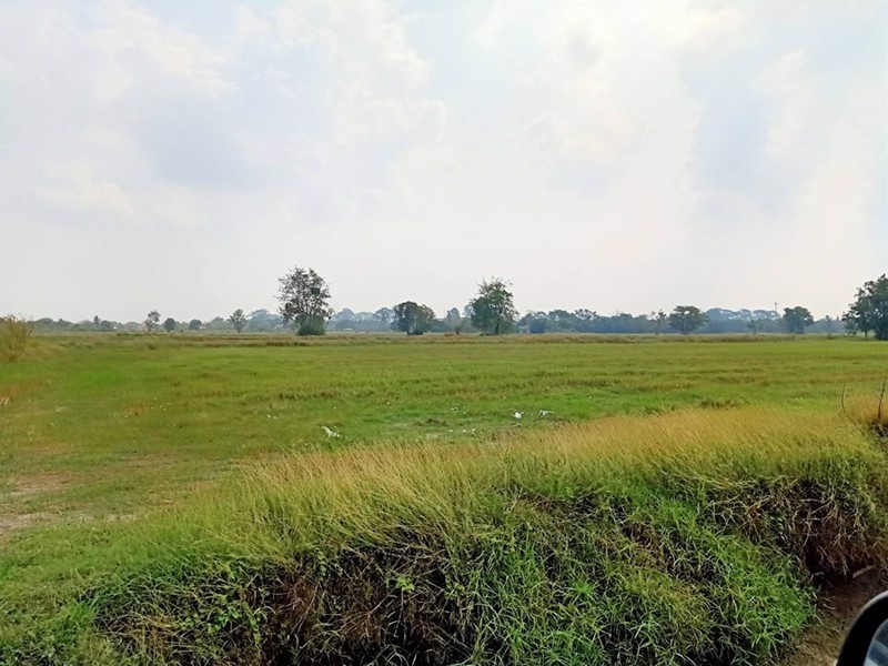 ขายที่ดิน-33-ไร่-148-ตรว-ทำเลดีสุดๆ-ขายถูก-อำเภอเสาไห้-จังหวัดสระบุรี