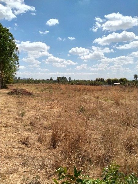 ขายด่วน-ที่ดินเปล่า-เหมาะแก่การลงทุน-เกร็งกำไร-สร้างหอพัก-ที่อยู่อาศัย-หรือ-ประกอบธุรกิจอื่นๆ