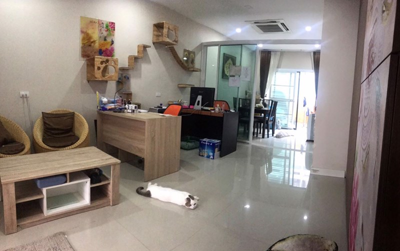 ขายทาวน์โฮม-3-ชั้น-แต่งครบ-ทำเลดี-ใกล้รถไฟฟ้าสายสีแดง-ตั้งอยู่บนถนนประชาอุทิศ-สรงประภา