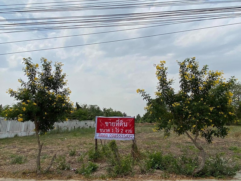 ขายที่ดินขนาด-1-ไร่-2-งาน-ใกล้ถนนราชพฤกษ์-ปากเกร็ด-นนทบุรี-โทร-0985535322