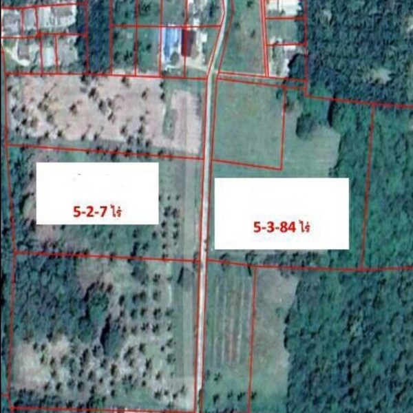 ขายที่ดินแปลงสวยท่าศาลา-จังหวัดนครศรีธรรมราช-เนื้อที่-11-ไร่-1-งาน-8407-ตารางวา-1800-ต่อรองได้