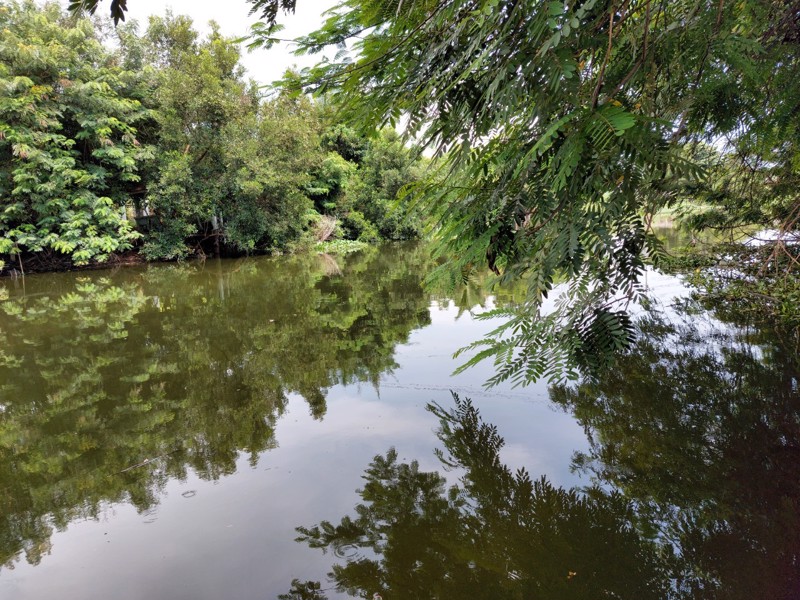 ขายที่ติดติดคลองลำลูกกา-2-เนื้อที่-4-ไร่-บรรยาร่มรื่นมาก-คลองน้ำใส