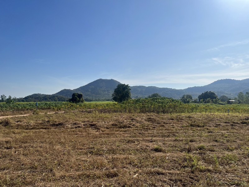 ขายด่วน-ที่ดิน-สามพระยา-ชะอำ-ใกล้หัวหิน