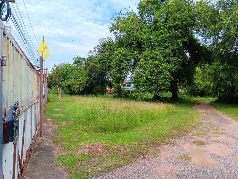 ขายที่ดินสวยๆ-แหล่งทำเลทองกลางเมืองโคราช-พื้นที่โซนสีชมพู