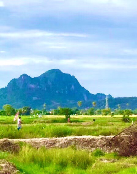 ขายที่โฉนดวิวเขา-ท้องทุ่งในชุมชนหลังตลาด-อ-ชะอำ-จ-เพชรบุรี