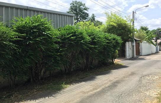 ขายที่ดินพร้อมสิ่งปลูกสร้างเนื้อที่-200ตารางวาลาดพร้าว71ซอยนาคนิวาส48