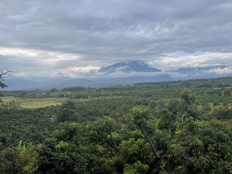 ขายที่ดินเชียงดาว-พิกัดตเชียงดาว-ราคาถูกเพียงไร่ละ-549000-บาท