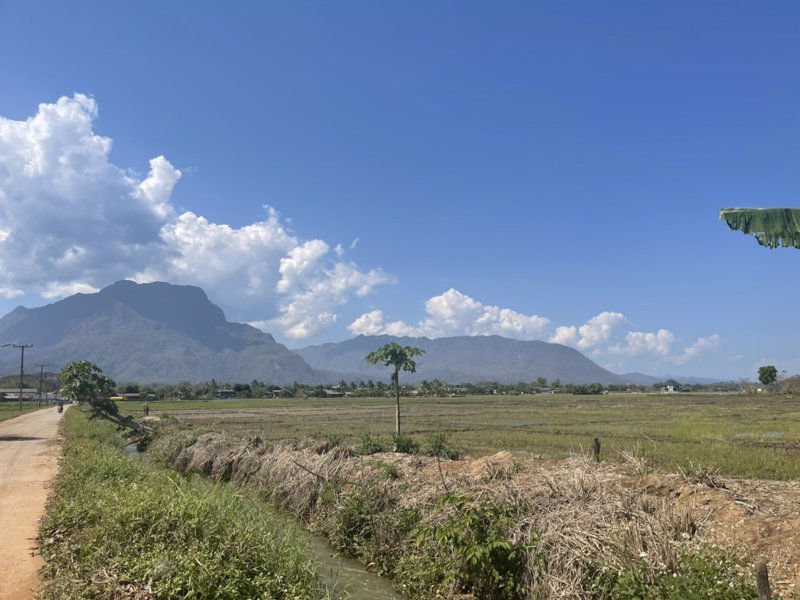 ขายด่วนที่ดินเชียงดาว-วิวสวย-ใกล้เมืองเชียงดาว-พิกัด-ตำบลเชียงดาว