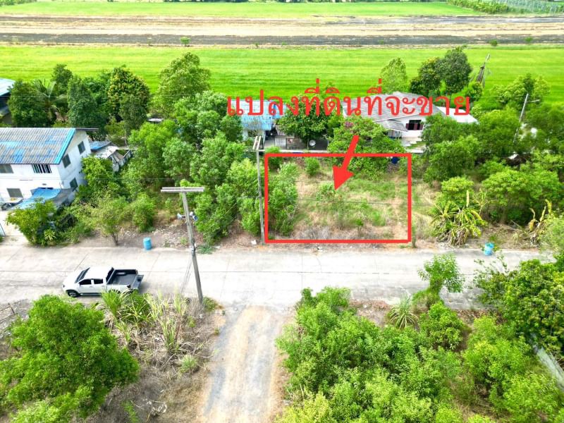ด่วน-ขายถูก-ที่ดินเปล่าคลอง11-หนองเสือ-ปทุมธานี