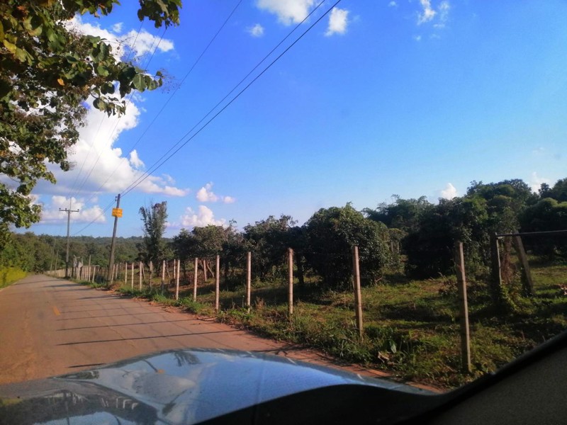 ขายที่ดินพร้อมสิ่งปลูกสร้าง-ที่ดินสวยบนเนินเขา-อากาศดีมาก