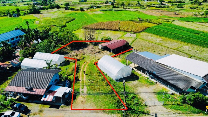 ขายที่ดิน ปัว น่าน 3 งาน 29.1 ตร.ว. ราคา 1.5 ล้าน