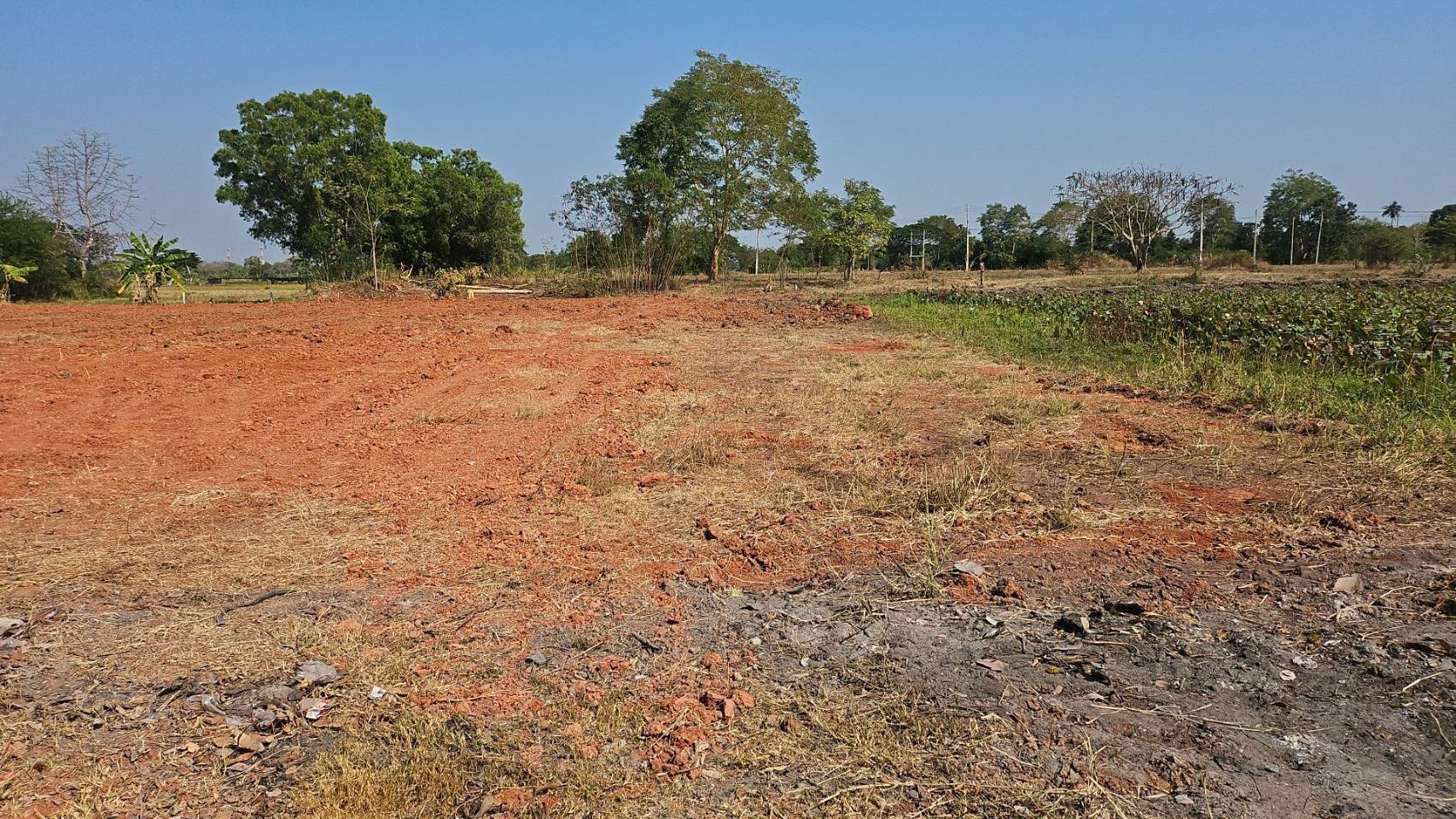 ขายที่ดิน-789-ล้านบาท-2-ไร่-2-งาน-39-ตารางวา