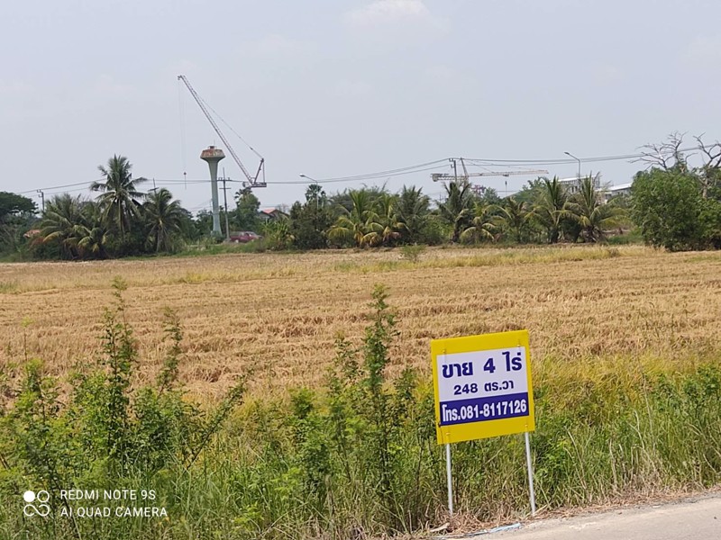 ขายที่ดิน-4-ไร่-248-ตรวา-ติดถนนเทศบาลลำลูกกา-5-ตลอดูแนว-ลำลูกกาคลอง-6-ปทุมธานี-ปัจจุบันเป็นที่นา