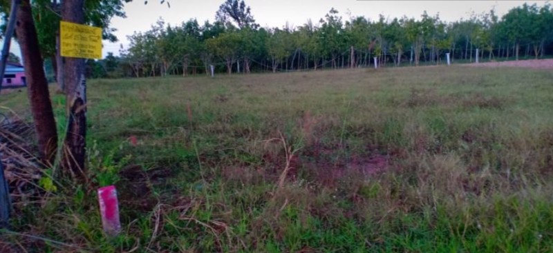 ขายที่ดิน21ไร่-2งาน-97ตรวติดถนน-มีไฟฟ้า-ราคาไร่ละ145000บาท