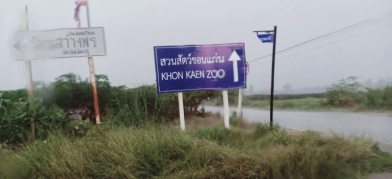 ขายที่ดิน-200-ตรวราคา-250000-บาท-มีน้ำไฟฟ้า-ถมแล้ว